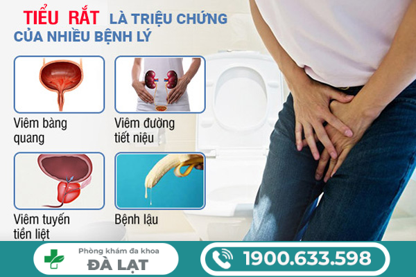 Hình ảnh minh họa